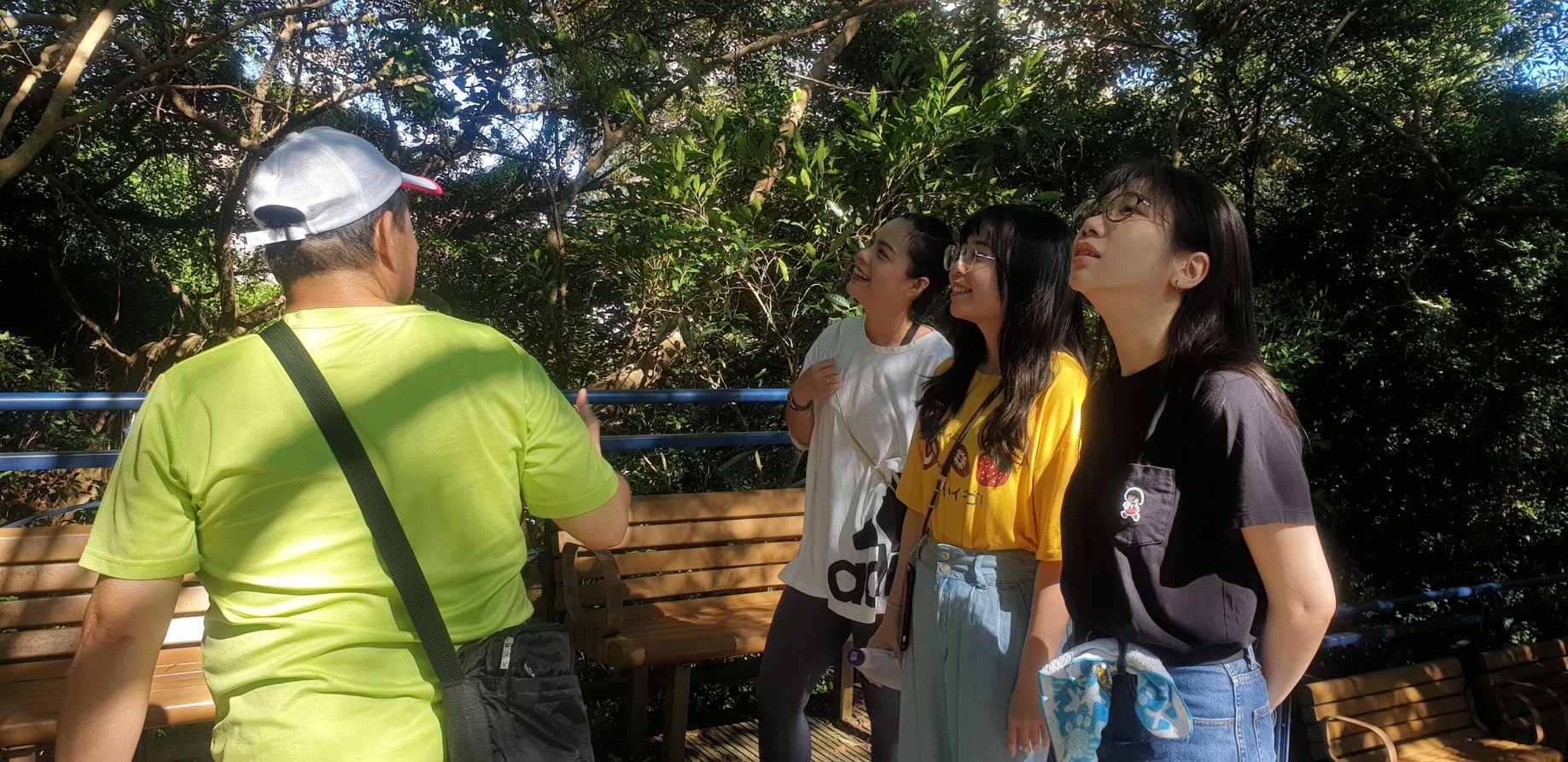 健脚勇者路線：涵蓋綠線及藍線等山、水路段。|