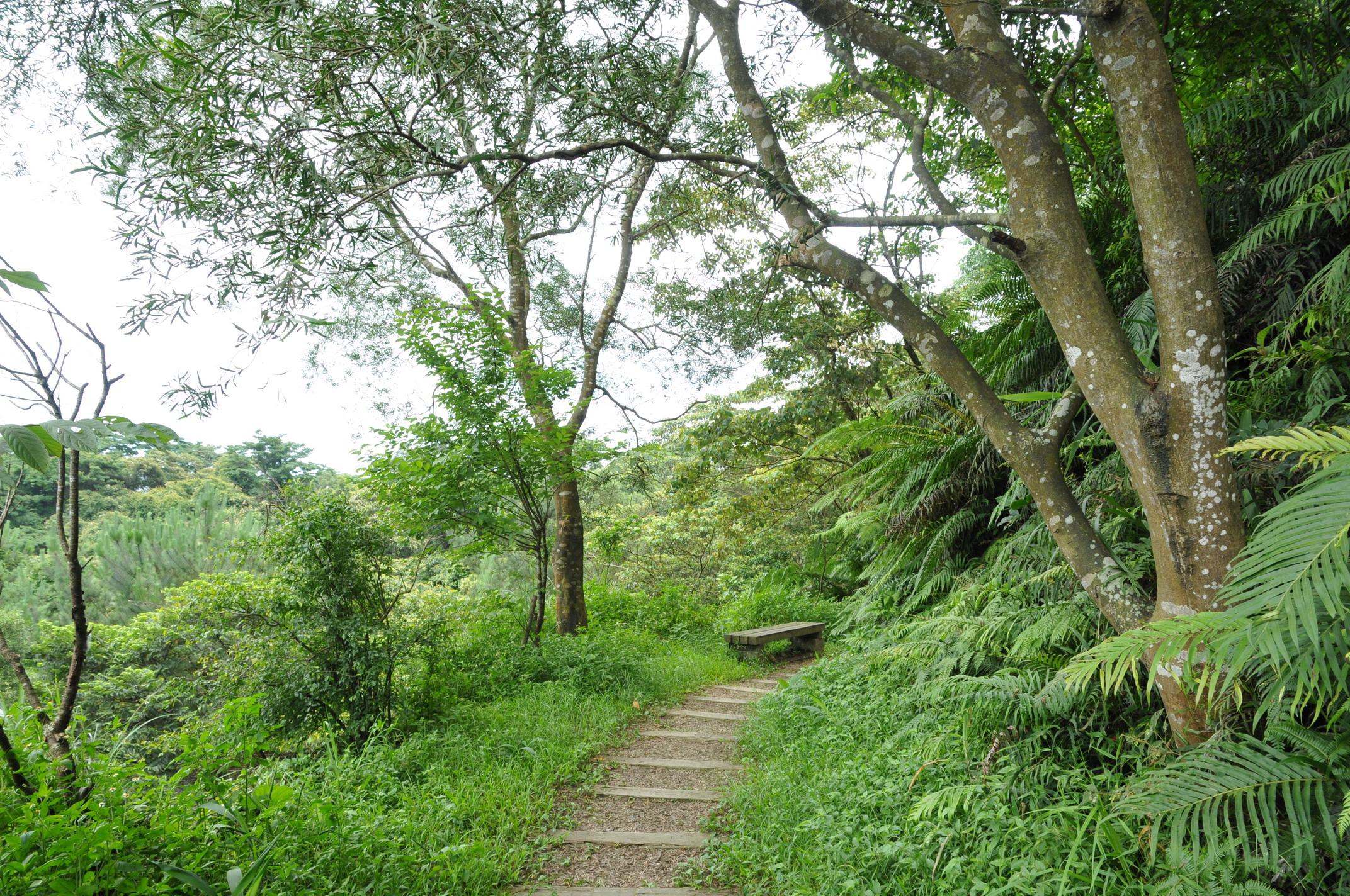 碧潭和美-道