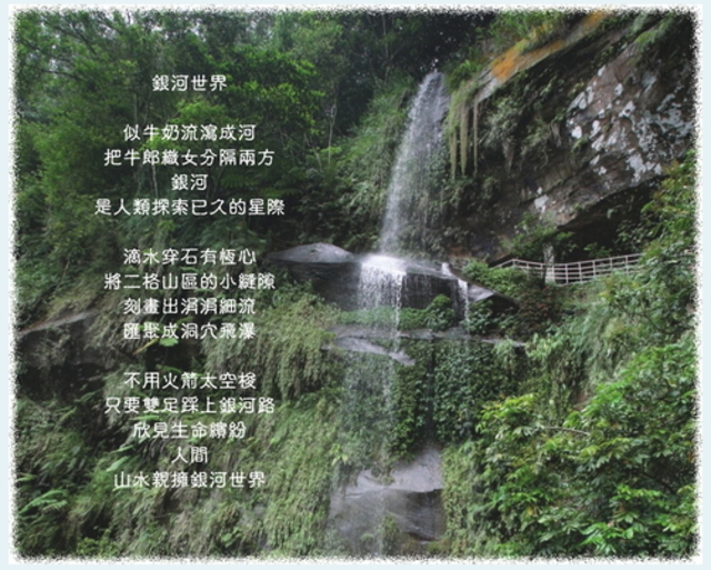 步道森呼吸