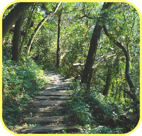 獅頭山步道