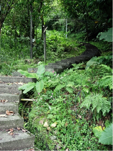 屈尺步道
