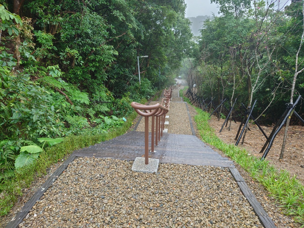 園區步道