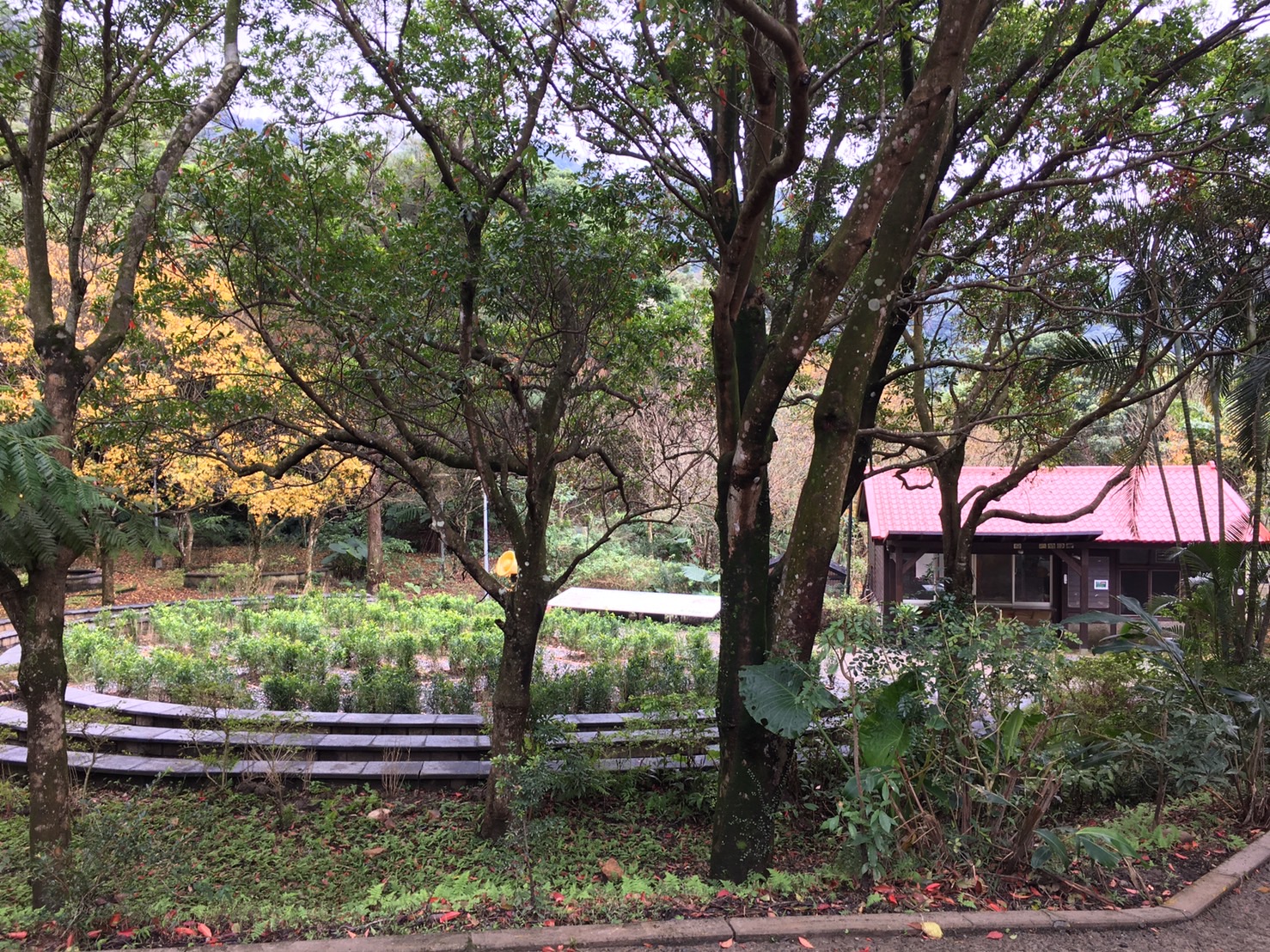 4.管理中心及廣場