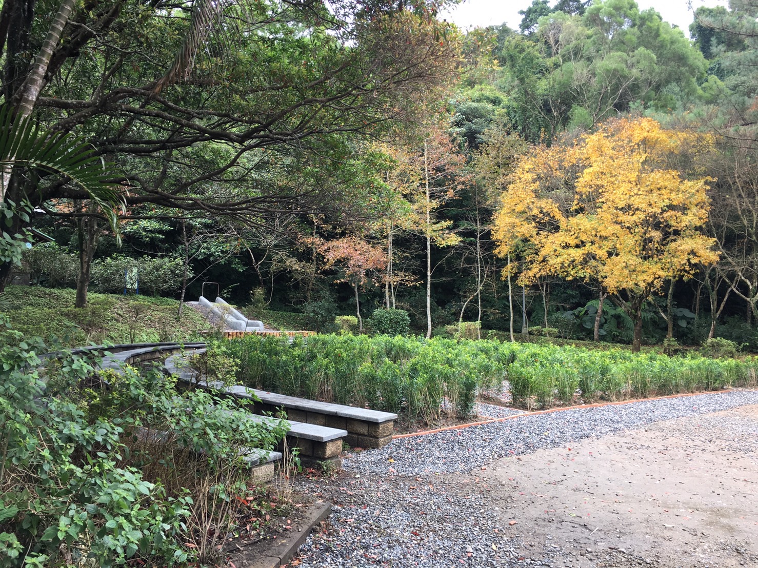 5.管理中心旁廣場