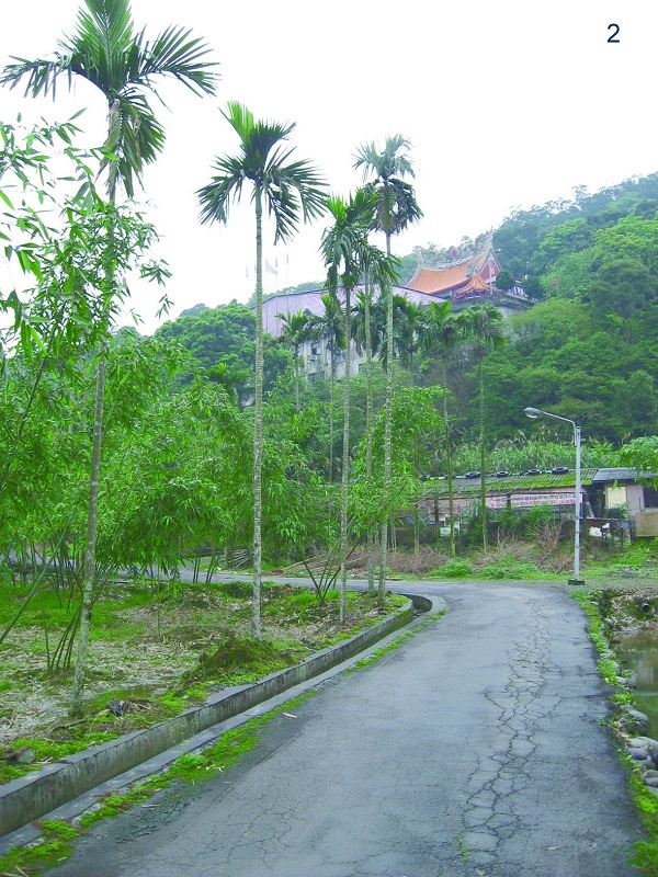 灣潭幽靜林道