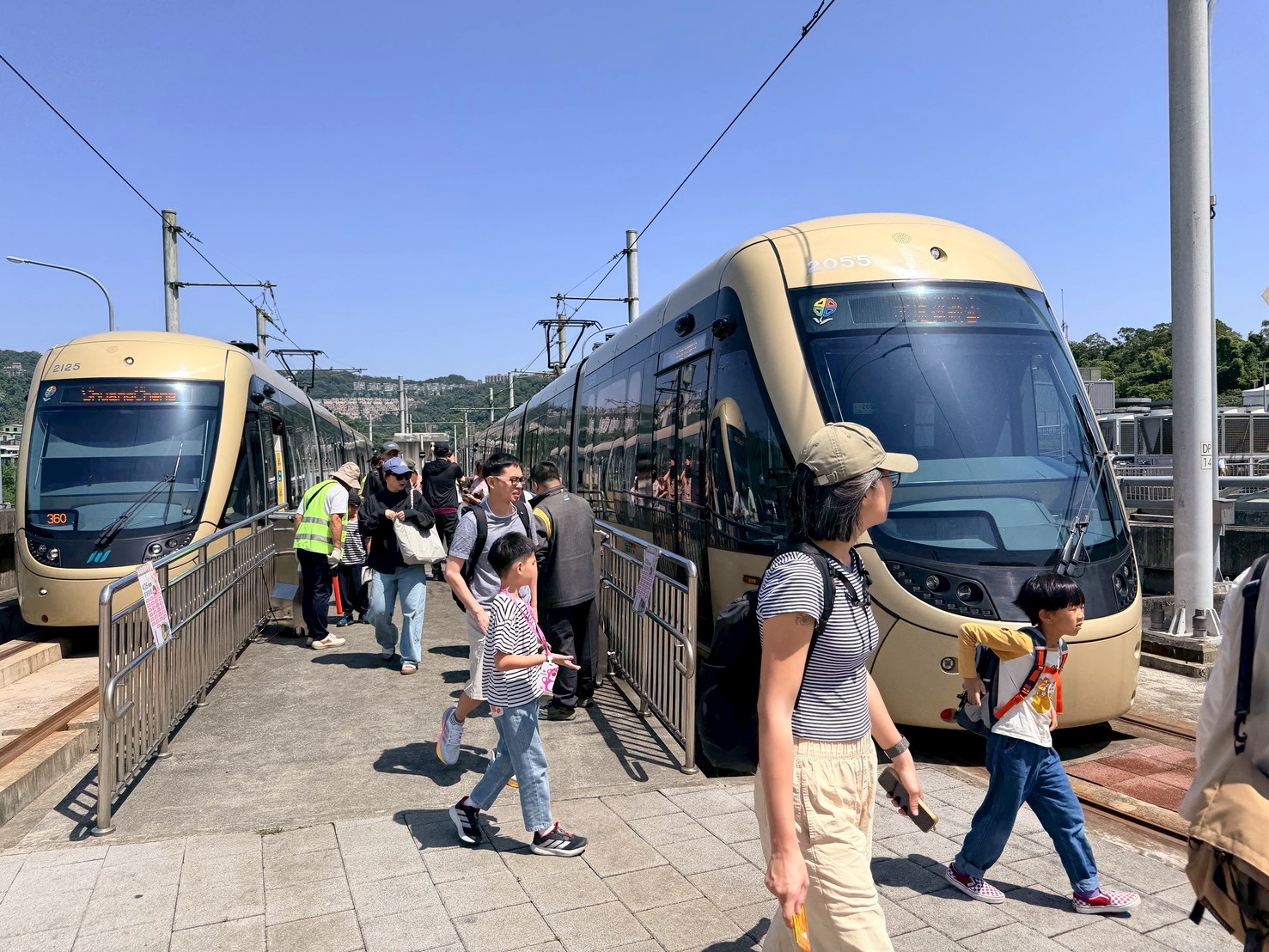 6搭乘輕軌沿線賞桐